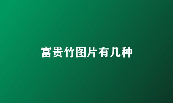富贵竹图片有几种