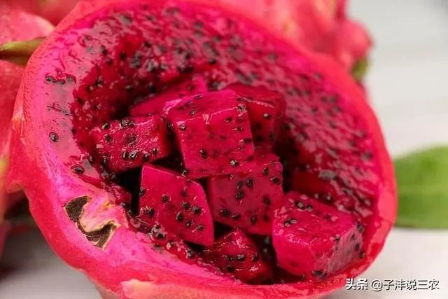 火龙果的种植方法?