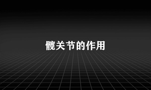 髋关节的作用