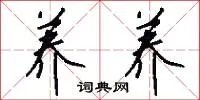 养养