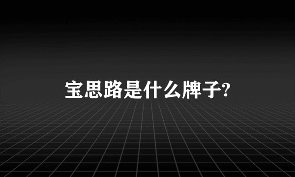 宝思路是什么牌子?