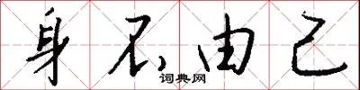 身不由己
