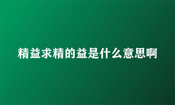 精益求精的益是什么意思啊