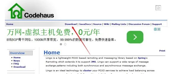 lingo软件下载