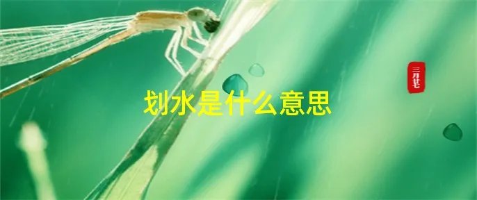 划水是什么意思
