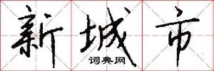 新城市