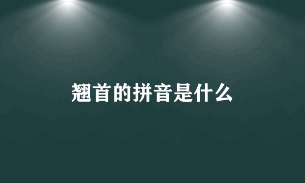 翘首的拼音是什么