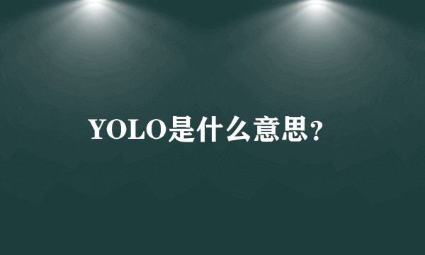 YOLO是什么意思？