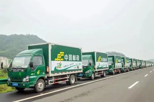 中国邮政单号查询快递查询