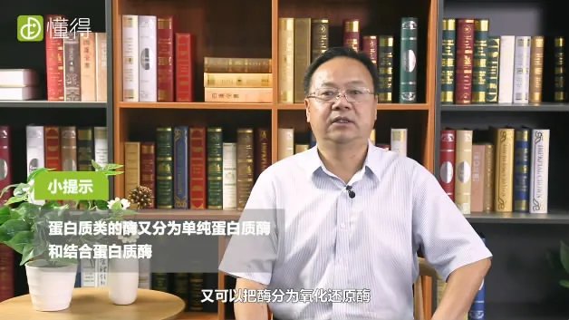 酶是什么物质
