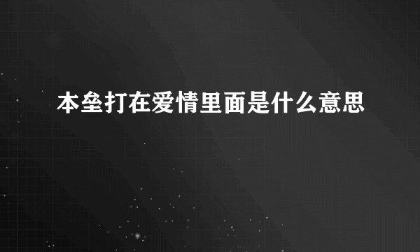 本垒打在爱情里面是什么意思