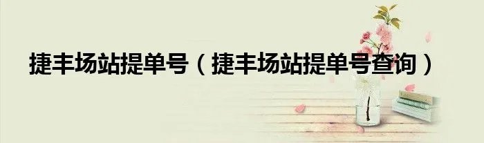 捷丰场站提单号（捷丰场站提单号查询）