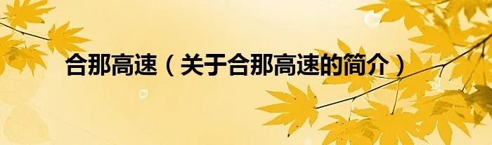 合那高速（关于合那高速的简介）