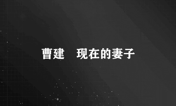 曹建眀现在的妻子