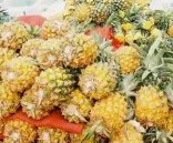 河北小伙理菠萝头卖菠萝,年轻人创业最重要的是什么?