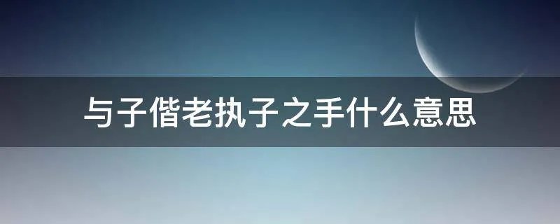 与子偕老执子之手什么意思