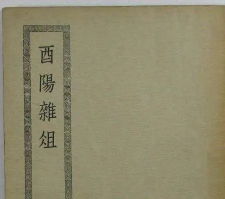 酉阳杂俎