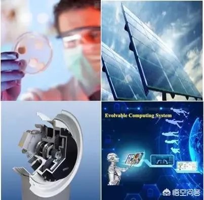 南方科技大学怎么样?