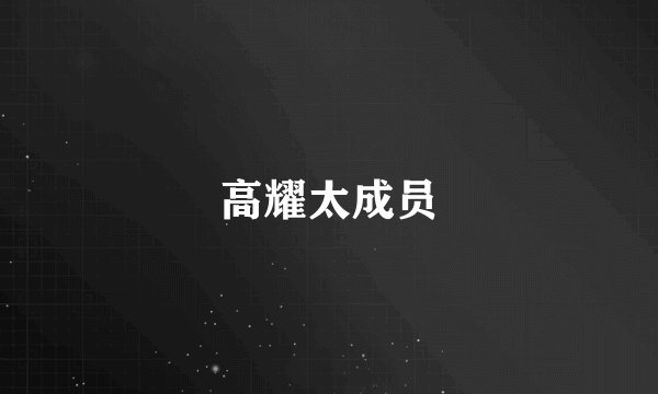 高耀太成员