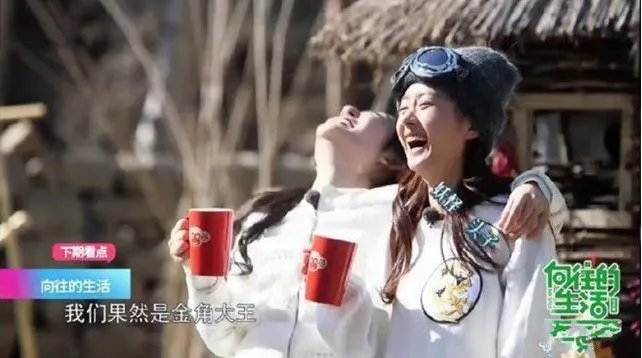 赵丽颖放飞自我是怎么回事?