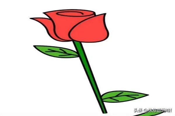 玫瑰花简笔画怎么画?