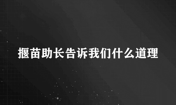 揠苗助长告诉我们什么道理