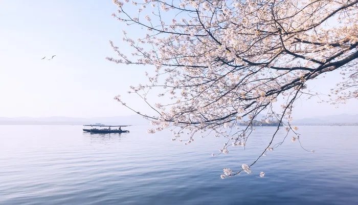 水光潋滟晴方好描写的是哪里的景色