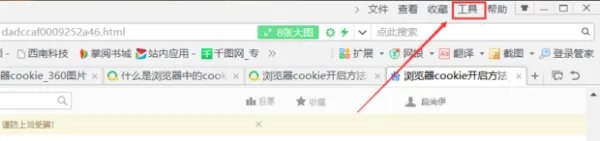 Cookie是什么意思?