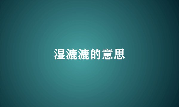 湿漉漉的意思