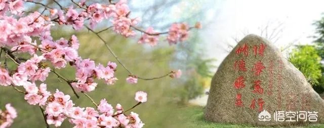 滁州学院怎么样?