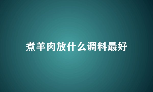 煮羊肉放什么调料最好