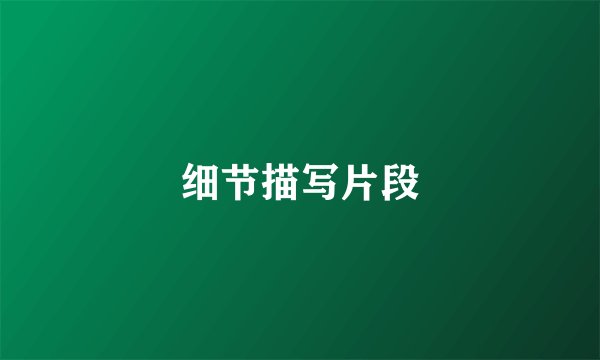 细节描写片段