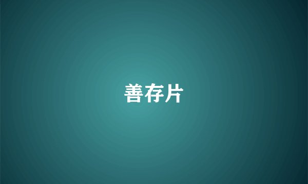 善存片