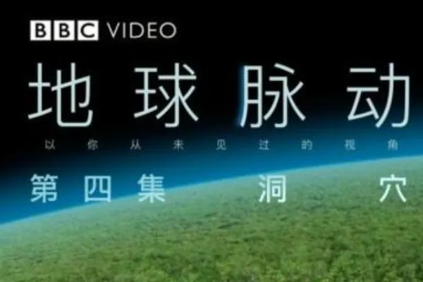 bbc十大经典纪录片都有什么?
