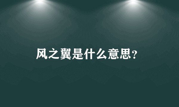 风之翼是什么意思?