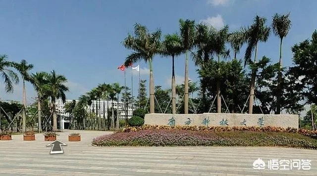 南方科技大学怎么样?