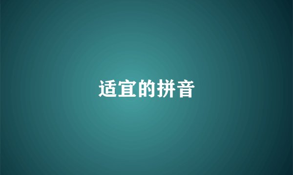 适宜的拼音