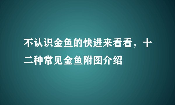 不认识金鱼的快进来看看，十二种常见金鱼附图介绍