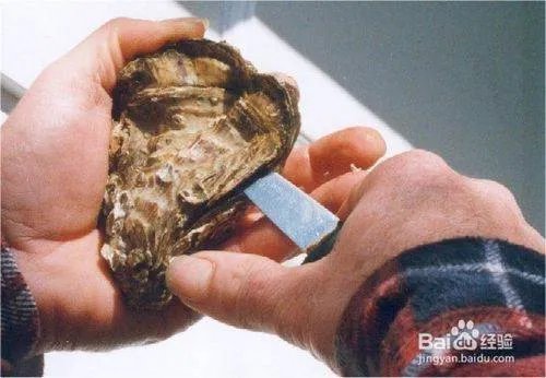 生蚝怎么打开