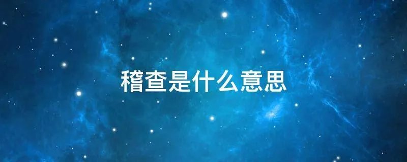 稽查是什么意思