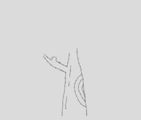 画树怎么画