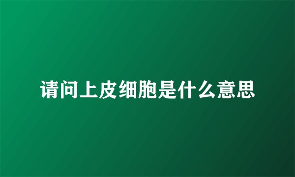 请问上皮细胞是什么意思