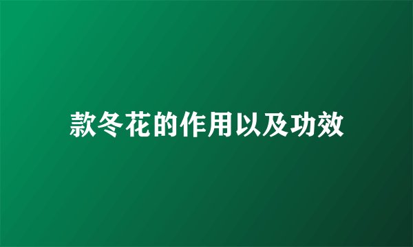款冬花的作用以及功效