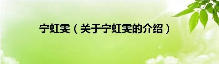 宁虹雯(关于宁虹雯的介绍)