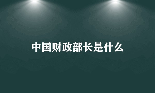 中国财政部长是什么