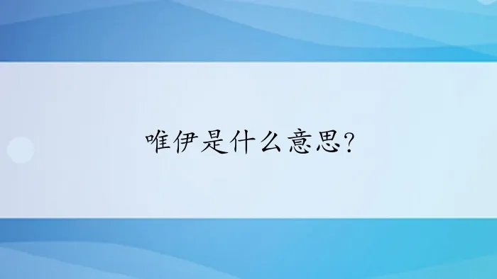 唯伊是什么意思?