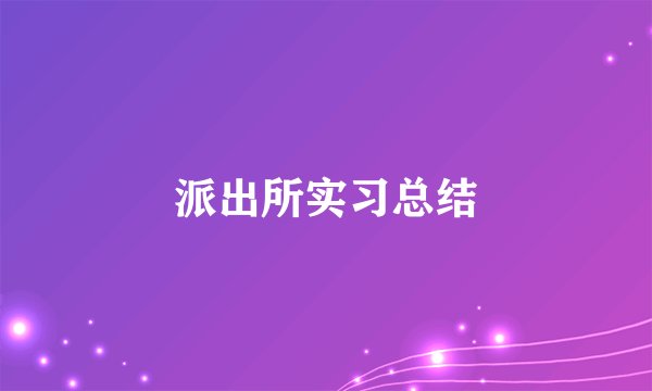派出所实习总结