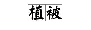 被组词有哪些?