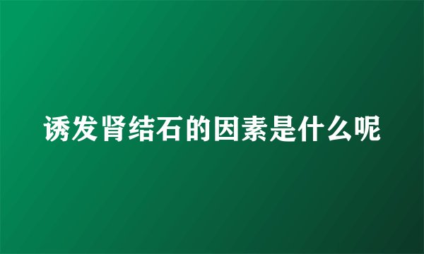 诱发肾结石的因素是什么呢