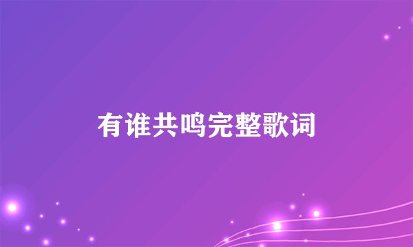有谁共鸣完整歌词